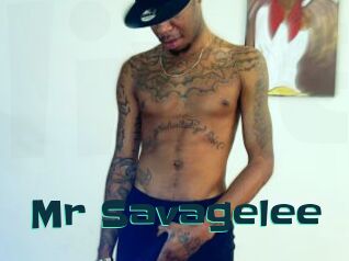 Mr_Savagelee