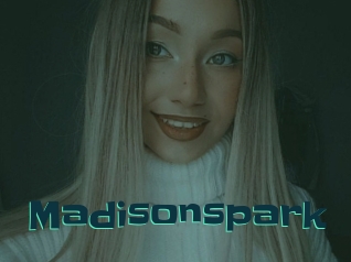 Madisonspark