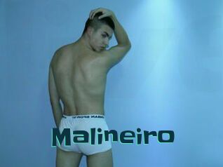 Malineiro