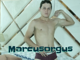 Marcusorgus