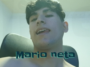 Mario_neta