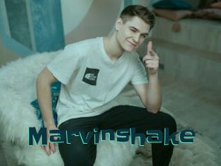 Marvinshake