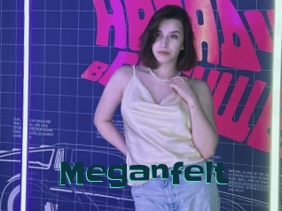 Meganfelt