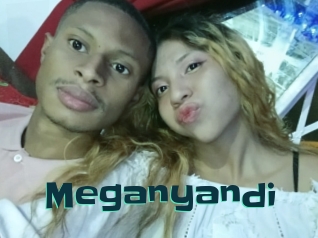 Meganyandi