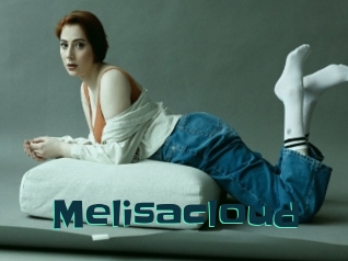 Melisacloud