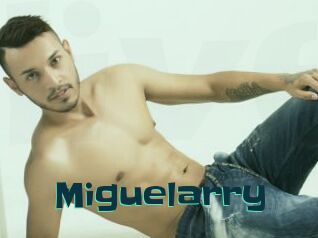 Miguelarry