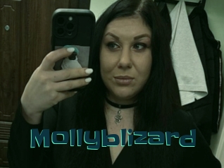 Mollyblizard