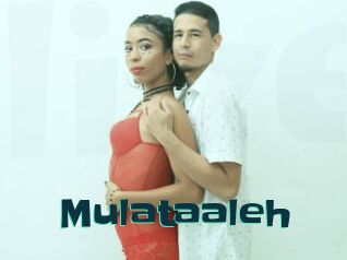 Mulataaleh