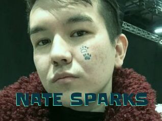 NATE_SPARKS