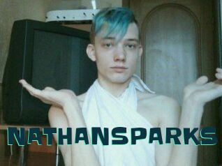 NATHAN_SPARKS