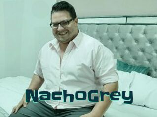 NachoGrey