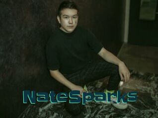 NateSparks