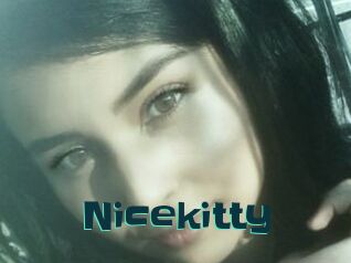 Nicekitty