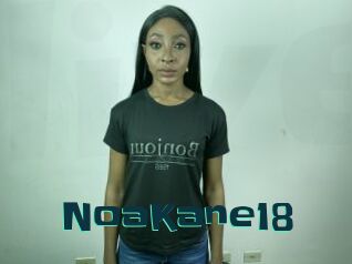 NoaKane18