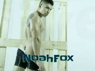 NoahFox