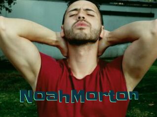 NoahMorton