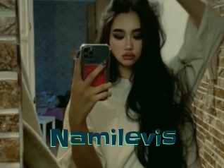 Namilevis