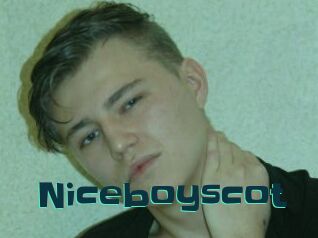 Niceboyscot