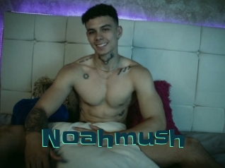Noahmush