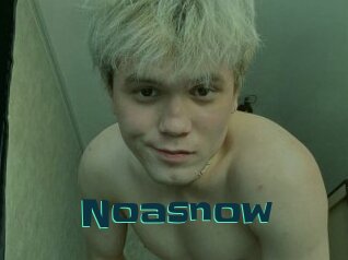 Noasnow