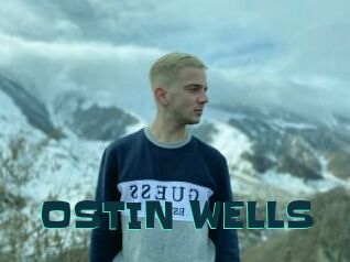 OSTIN_WELLS