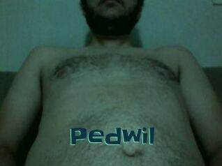 Pedwil