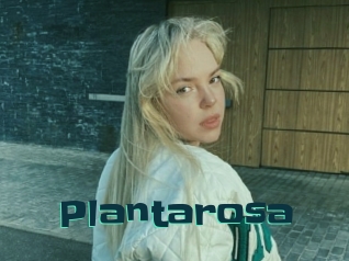 Plantarosa