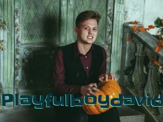 Playfulboydavid