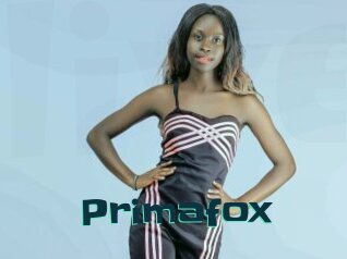primafox Live Cams