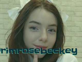 Primrosebeckey