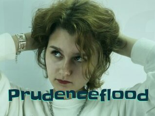 prudenceflood Live Cams