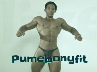 Pumebonyfit