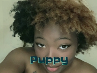 Puppy