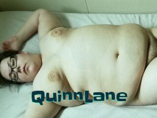 QuinnLane