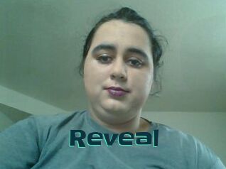 Reveal Live Cams