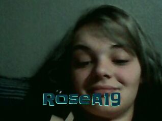 RoseA19