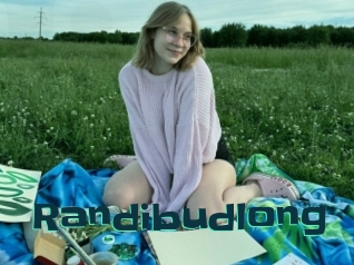 Randibudlong