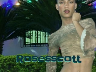 Rosesscott