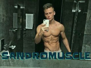 SANDRO_MUSCLE