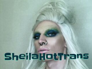 SheilaHotTrans