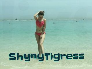 ShynyTigress