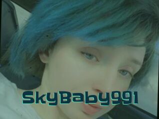 SkyBaby991