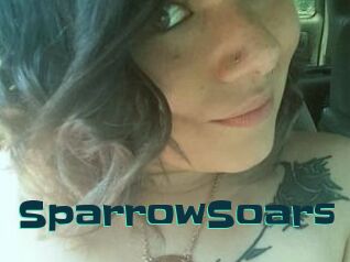 SparrowSoars