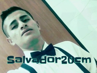 Salvador20cm