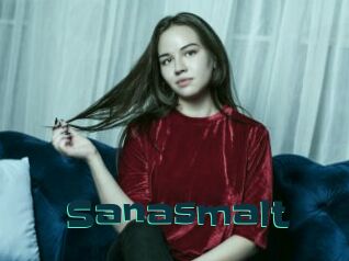 Sanasmalt