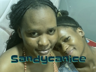 Sandycanice