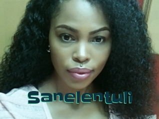 Sanelentuli