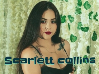 Scarlett_collins