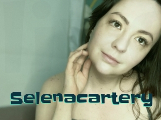 Selenacartery