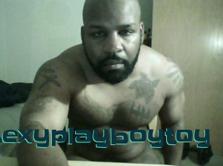 Sexyplayboytoy